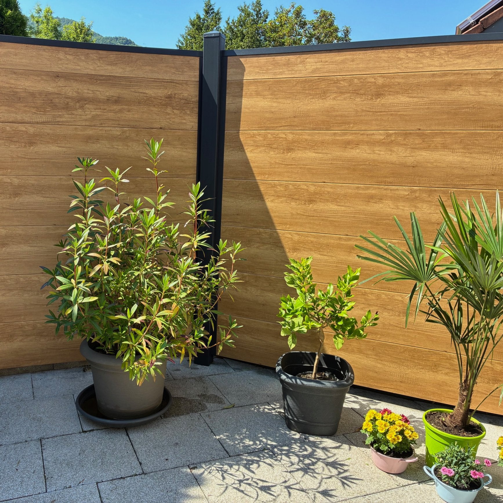 Sichtschutzzaun Kunststoff - Desert Oak - Anthrazit Rahmen XL Optik